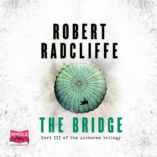 book cover for The Bridge